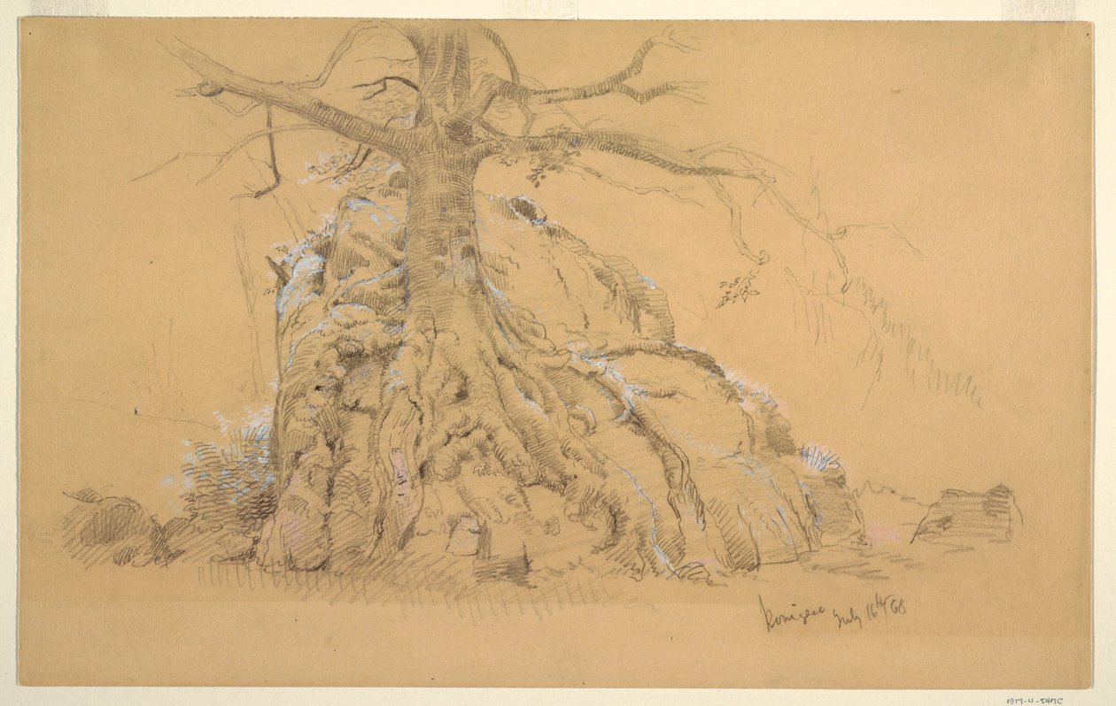 Dibujo, Árbol del Königssee, 16 de julio de 1868 de Frederic Edwin Church