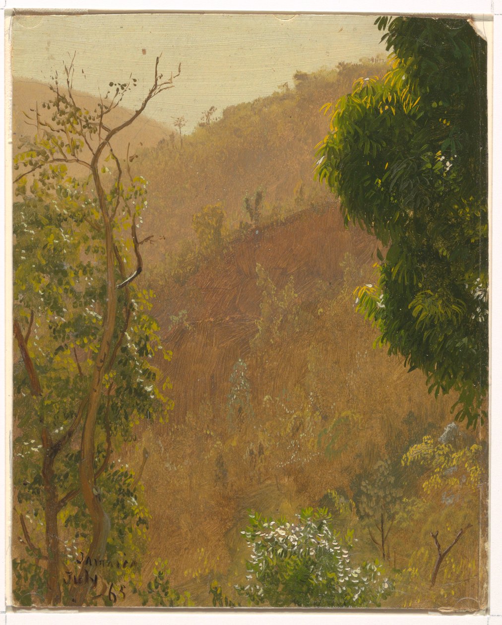 Dibujo, Paisaje, julio de 1865 de Frederic Edwin Church
