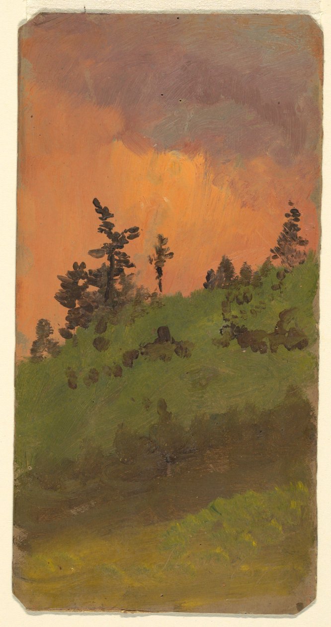 Dibujo, Paisaje en el bosque, junio de 1870 de Frederic Edwin Church