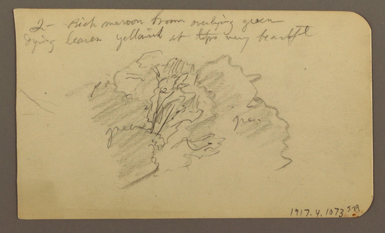 Dibujo, Paisaje, casas; Verso: Copa de árbol, febrero de 1885 de Frederic Edwin Church