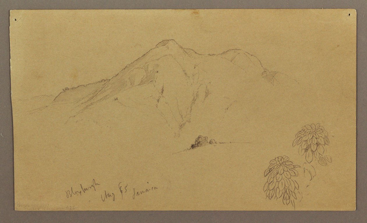 Dibujo, Paisaje, plantas, Bloxburgh, agosto de 1865 de Frederic Edwin Church