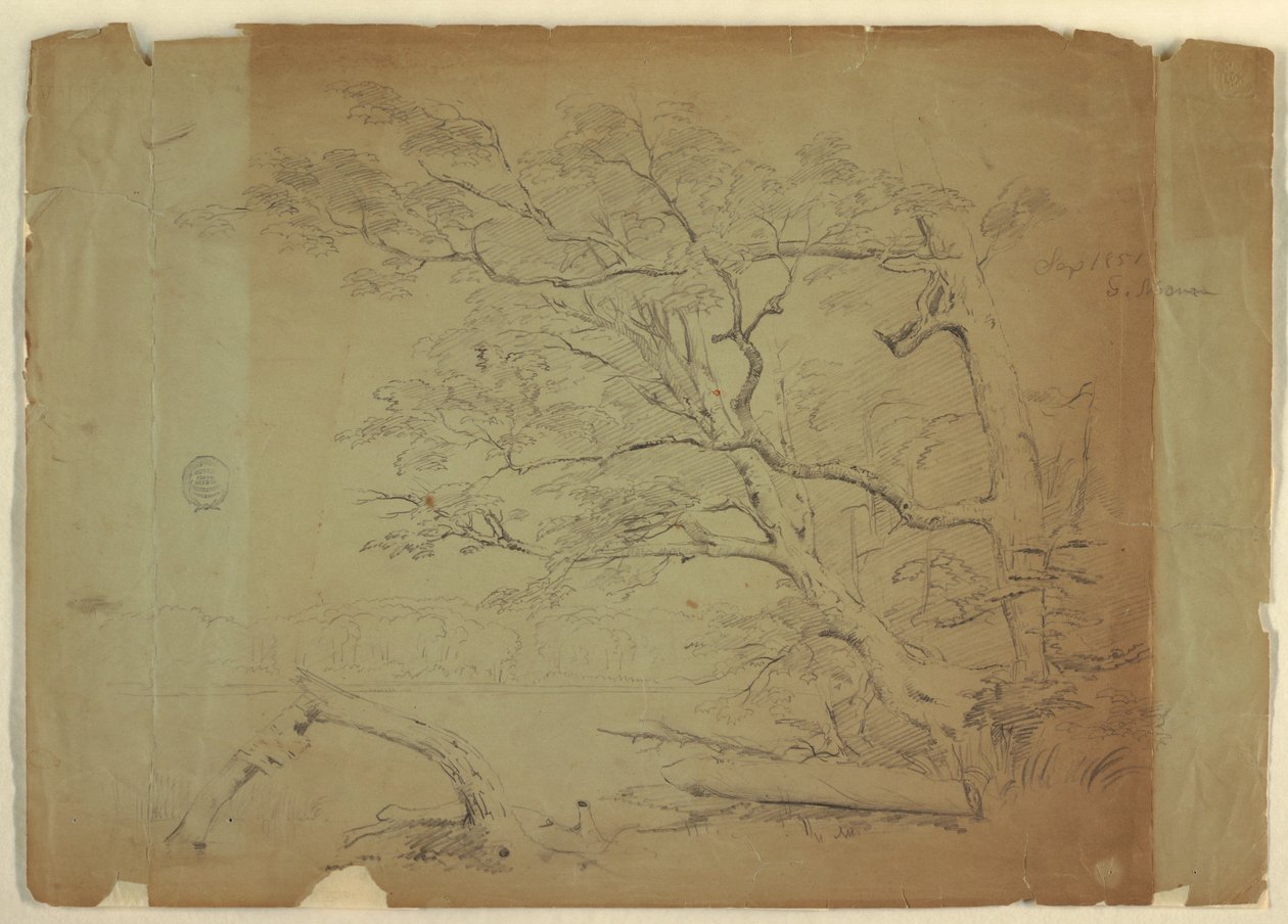Dibujo, Paisaje con árboles y un arroyo [], Isla de Grand Manan, Canadá, septiembre de 1851 de Frederic Edwin Church