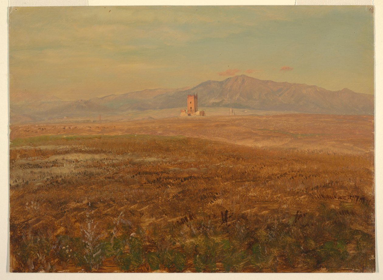 Dibujo, Paisaje mexicano, abril de 1869 de Frederic Edwin Church