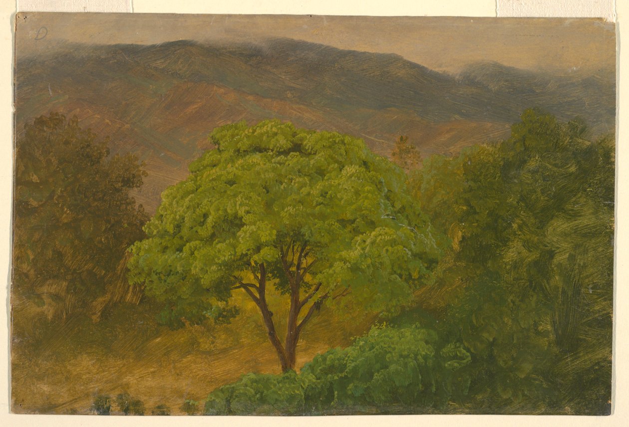 Dibujo, Paisaje de montaña, agosto de 1865 de Frederic Edwin Church