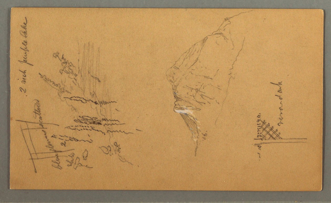 Dibujo, Pico de montaña, Vegetación junto a estanque, 1868 de Frederic Edwin Church