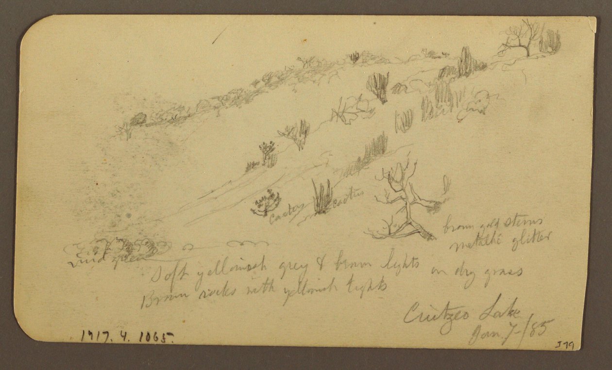 Dibujo, Montaña, Zapotlán; Verso: Ladera arbolada, Lago de Cuitzeo, enero de 1885. de Frederic Edwin Church