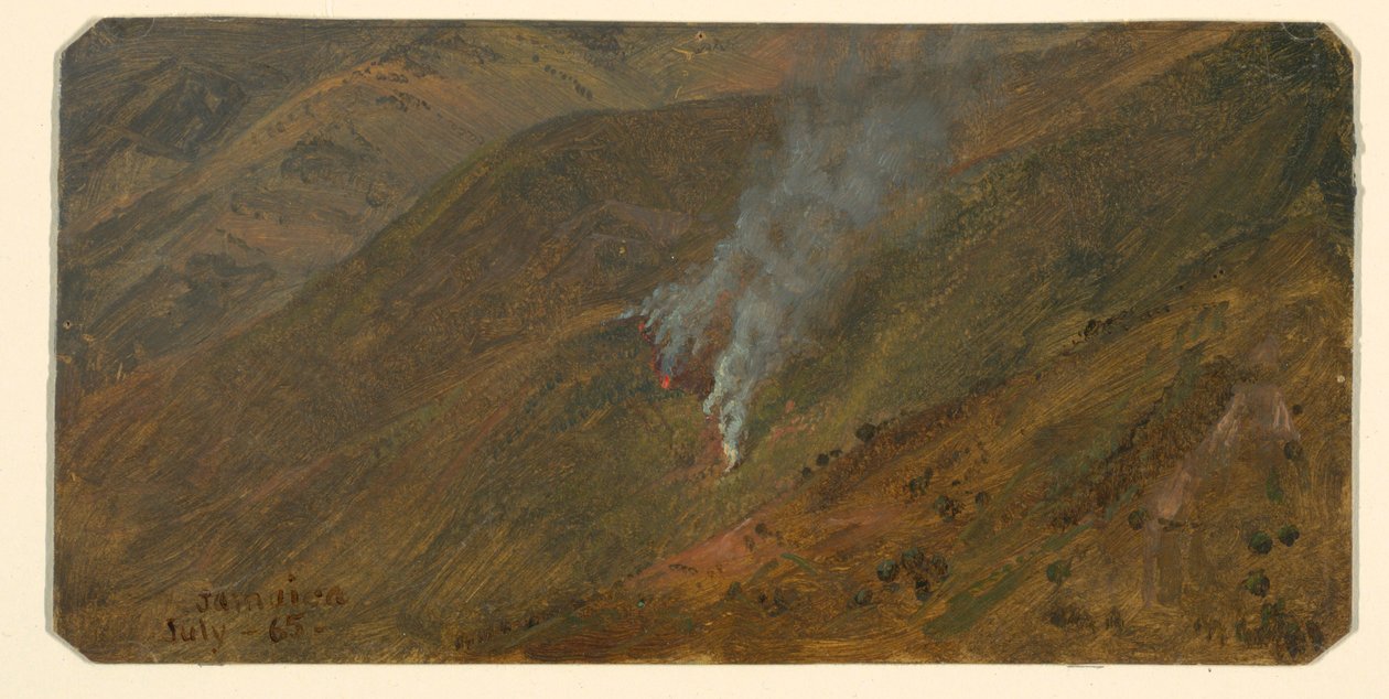 Dibujo, Ladera de montaña con fuego de maleza, junio de 1865 de Frederic Edwin Church