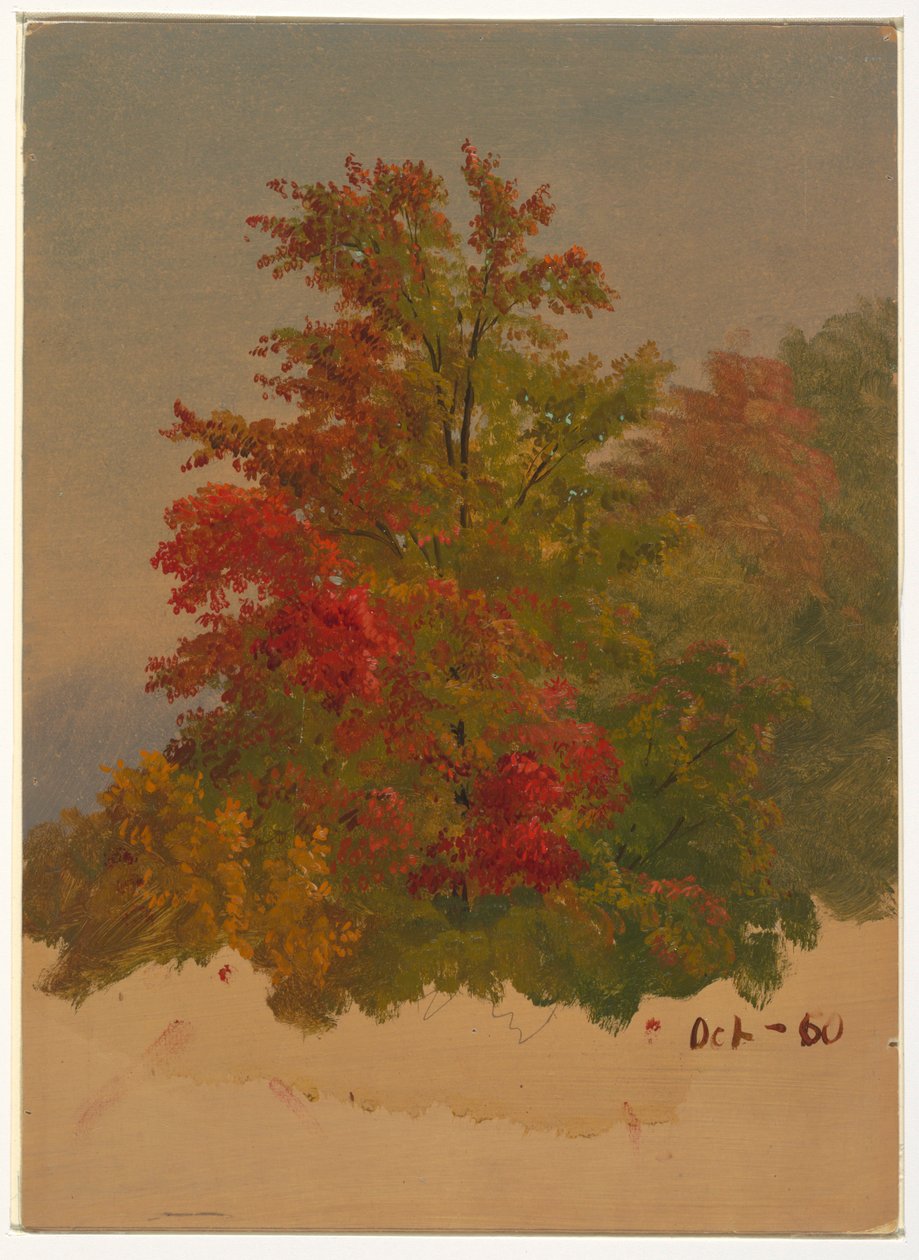 Dibujo, Mt. Desert Island , Maine, octubre de 1860 de Frederic Edwin Church