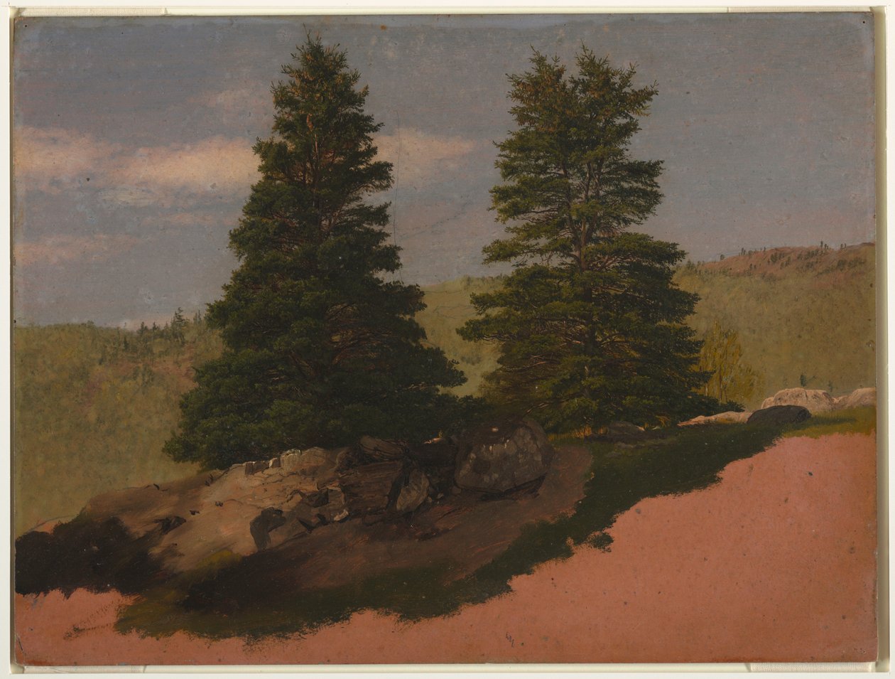 Dibujo, Paisaje de Nueva Inglaterra (Dos pinos), 1850 de Frederic Edwin Church