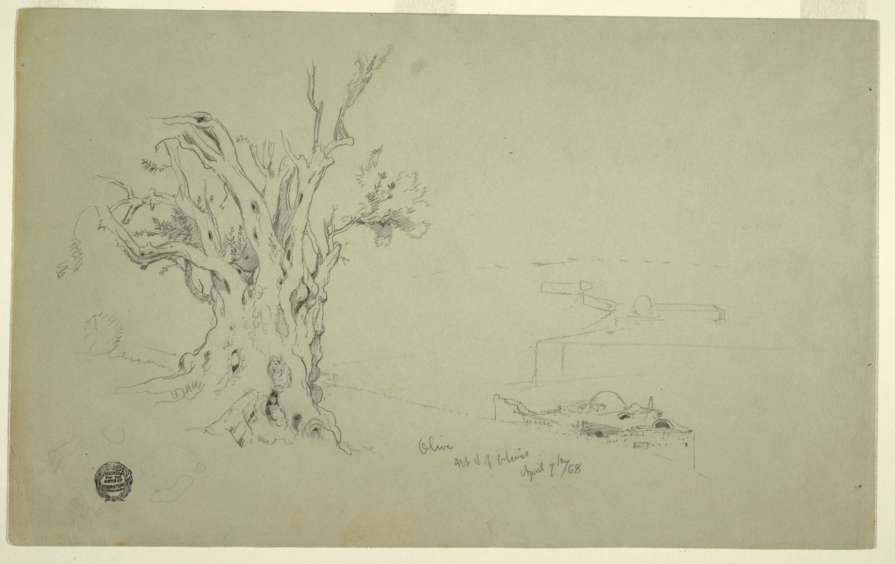 Dibujo, Olivo, Monte de los Olivos, Apri 1868 de Frederic Edwin Church