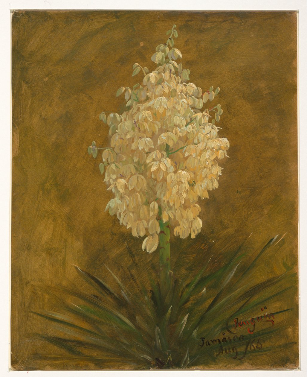 Dibujo, Planta en flor, agosto de 1865 de Frederic Edwin Church
