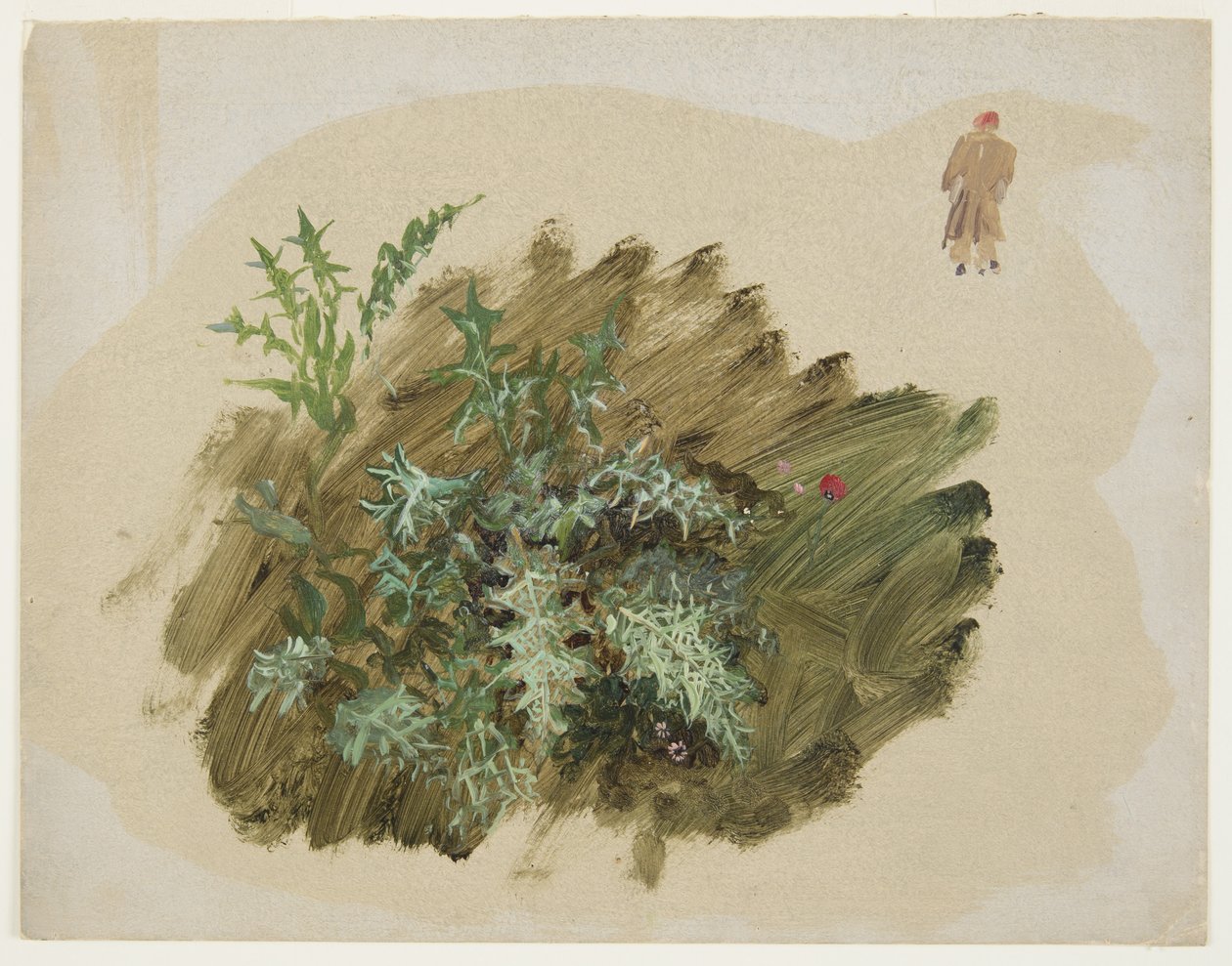 Dibujo, Estudios de plantas, 1865 de Frederic Edwin Church