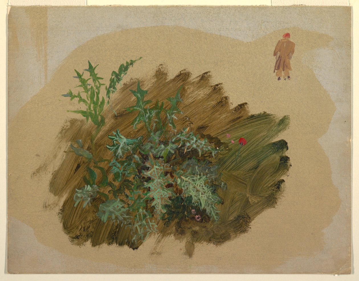 Dibujo, Estudios de plantas, 1865 de Frederic Edwin Church