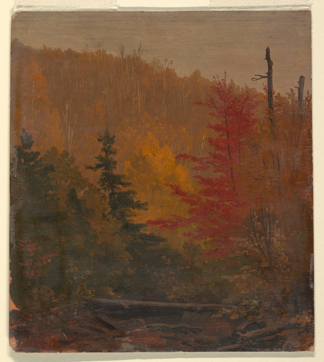 Dibujo, probablemente cerca de Katahdin, otoño, 1865-70 de Frederic Edwin Church