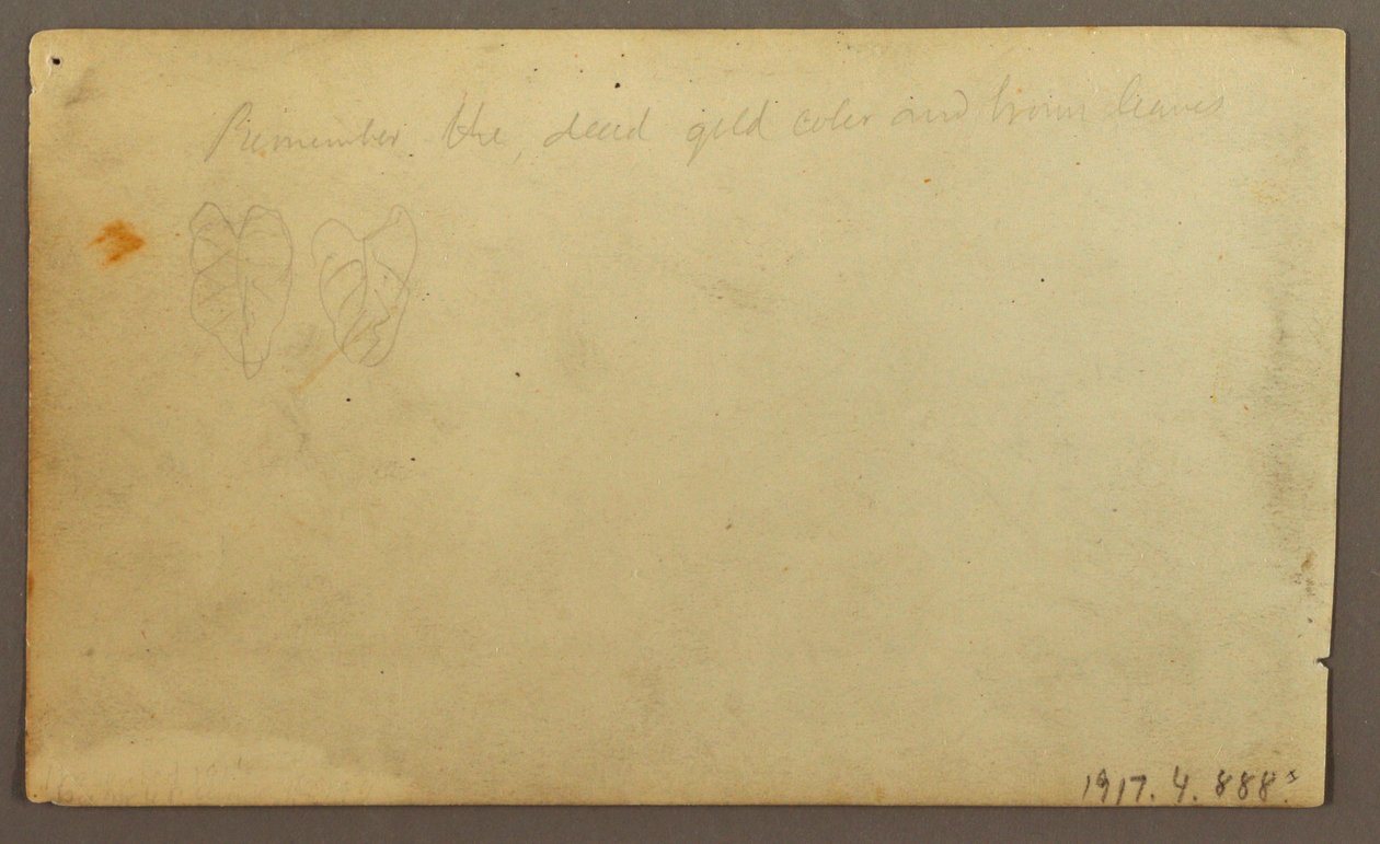 Dibujo, Río Limona cerca de un pueblo, Ecuador o Colombia; reverso: Hojas, 1857 de Frederic Edwin Church