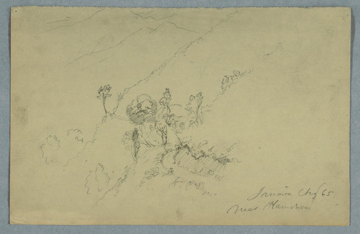 Dibujo, Carretera a través de las Montañas Azules, cerca de Homestead, Jamaica, agosto de 1865 de Frederic Edwin Church
