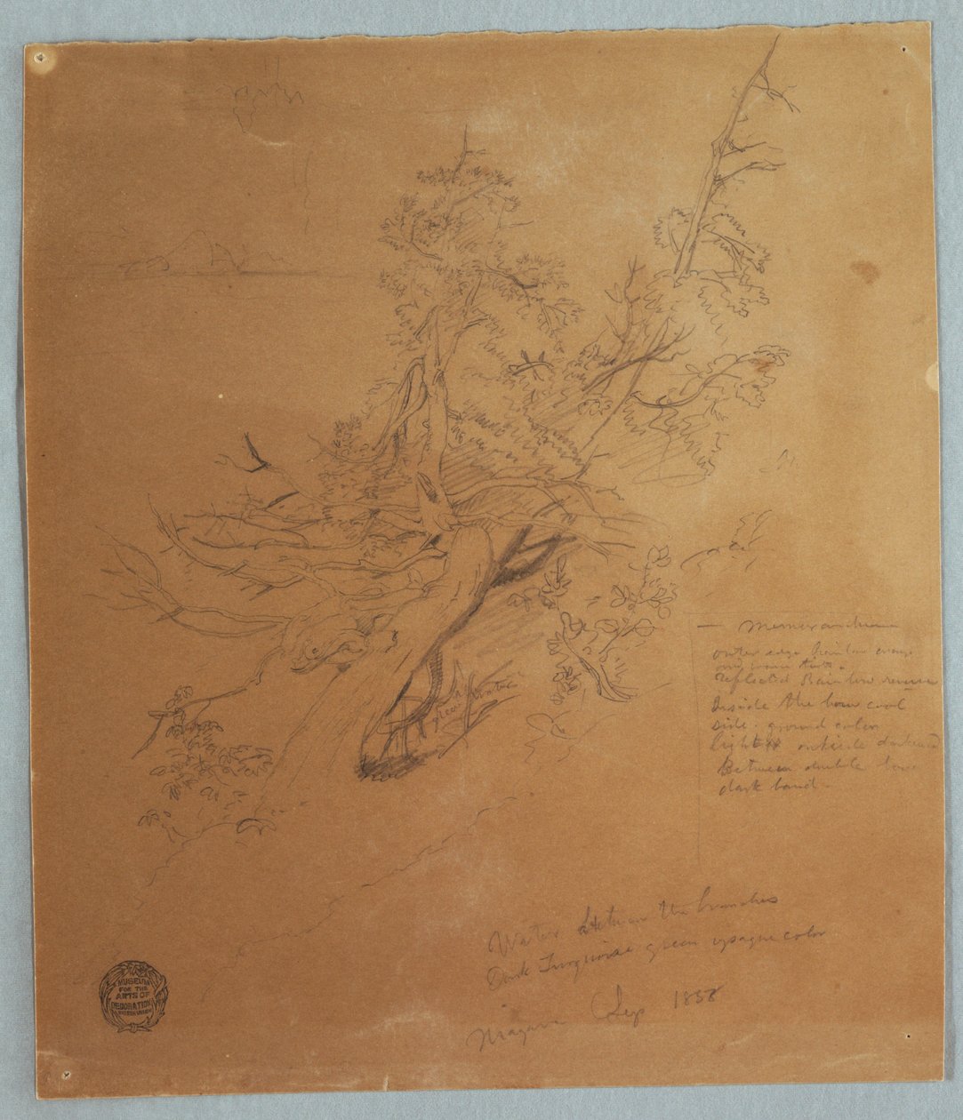 Dibujo, Árbol escarpado en el banco canadiense bajo las cataratas del Niágara, septiembre de 1856 de Frederic Edwin Church