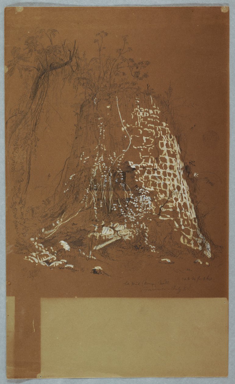 Dibujo, Antiguo molino de viento en ruinas, Jamaica, julio de 1865 de Frederic Edwin Church