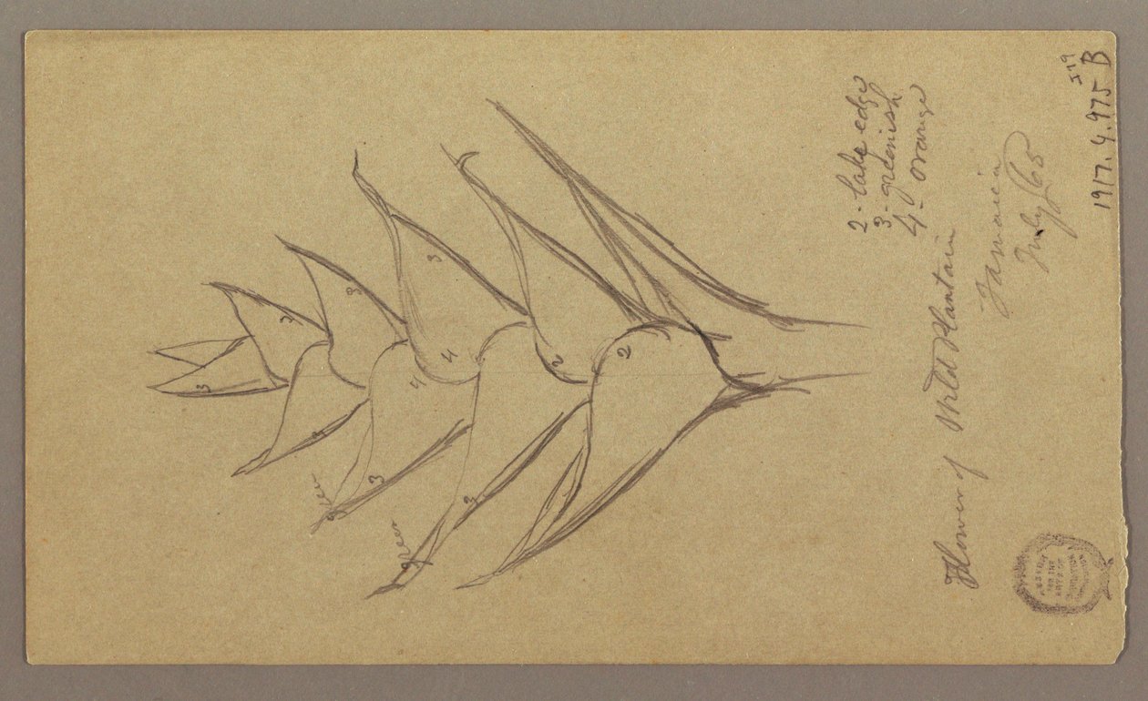 Dibujo, Paisaje marino, 29 de abril de 1865 de Frederic Edwin Church
