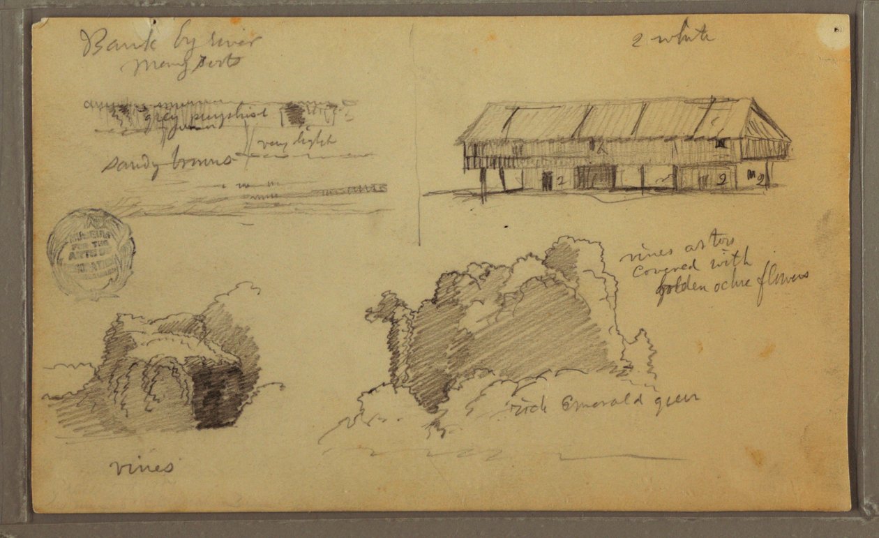 Dibujo, Bocetos, Ecuador o Colombia; Verso: Bocetos, Ecuador o Colombia, 1857 de Frederic Edwin Church