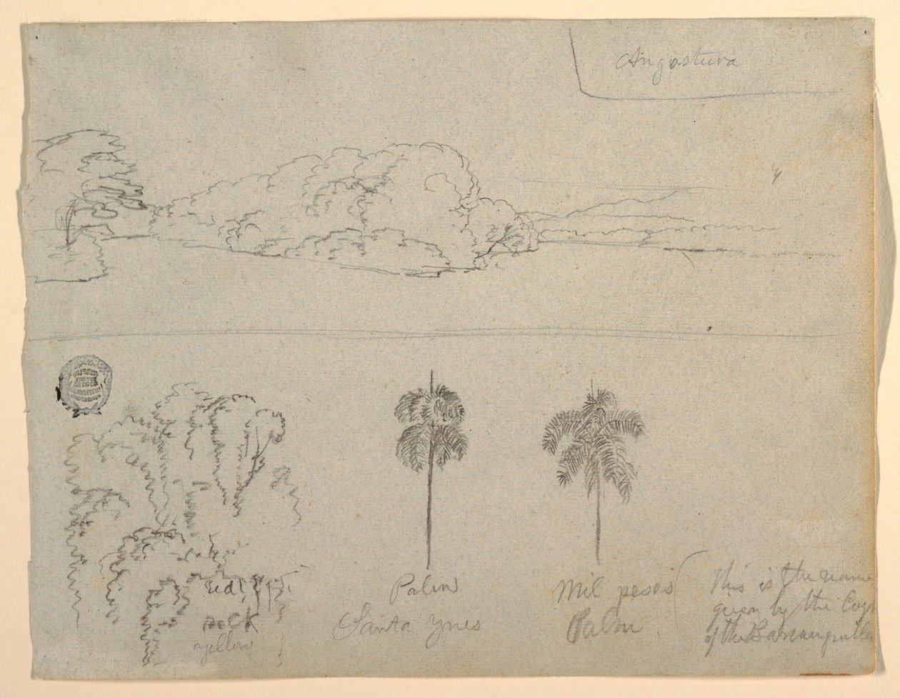 Dibujo, Bocetos de Colombia:  Orilla de un río o bahía, y Árboles., 1853 de Frederic Edwin Church