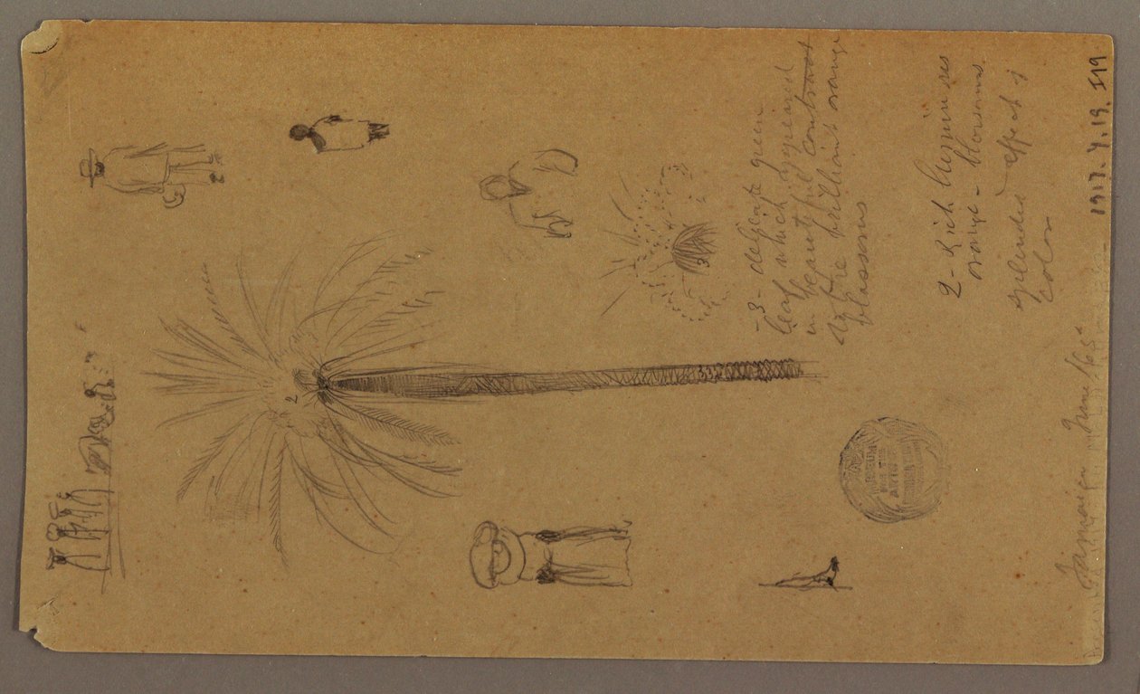 Dibujo, Bocetos de Jamaica, Indias Occidentales, junio de 1865 de Frederic Edwin Church