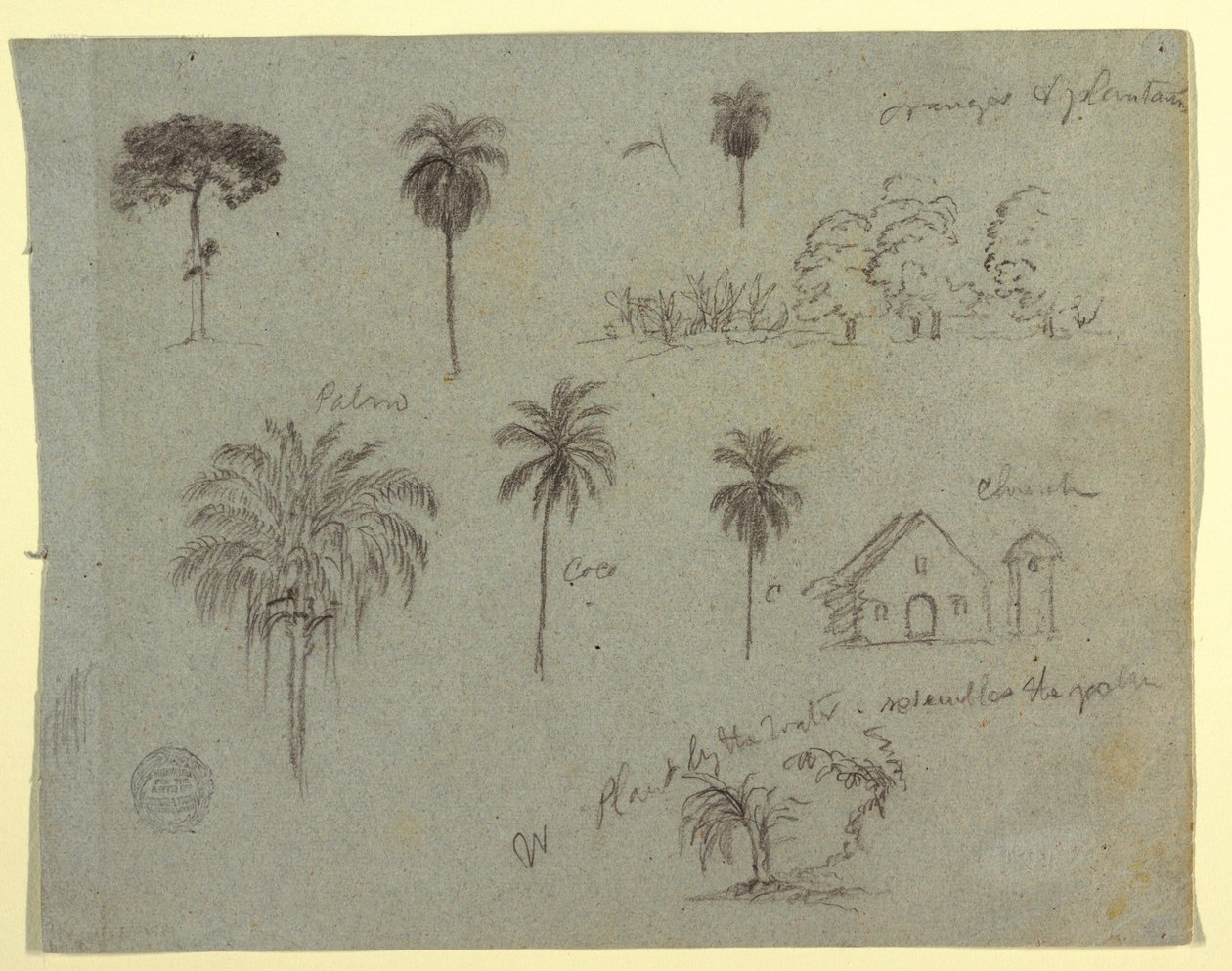 Dibujo, Bocetos del Río Magdalena, Colombia:  Estudios botánicos y una iglesia, mayo de 1853 de Frederic Edwin Church
