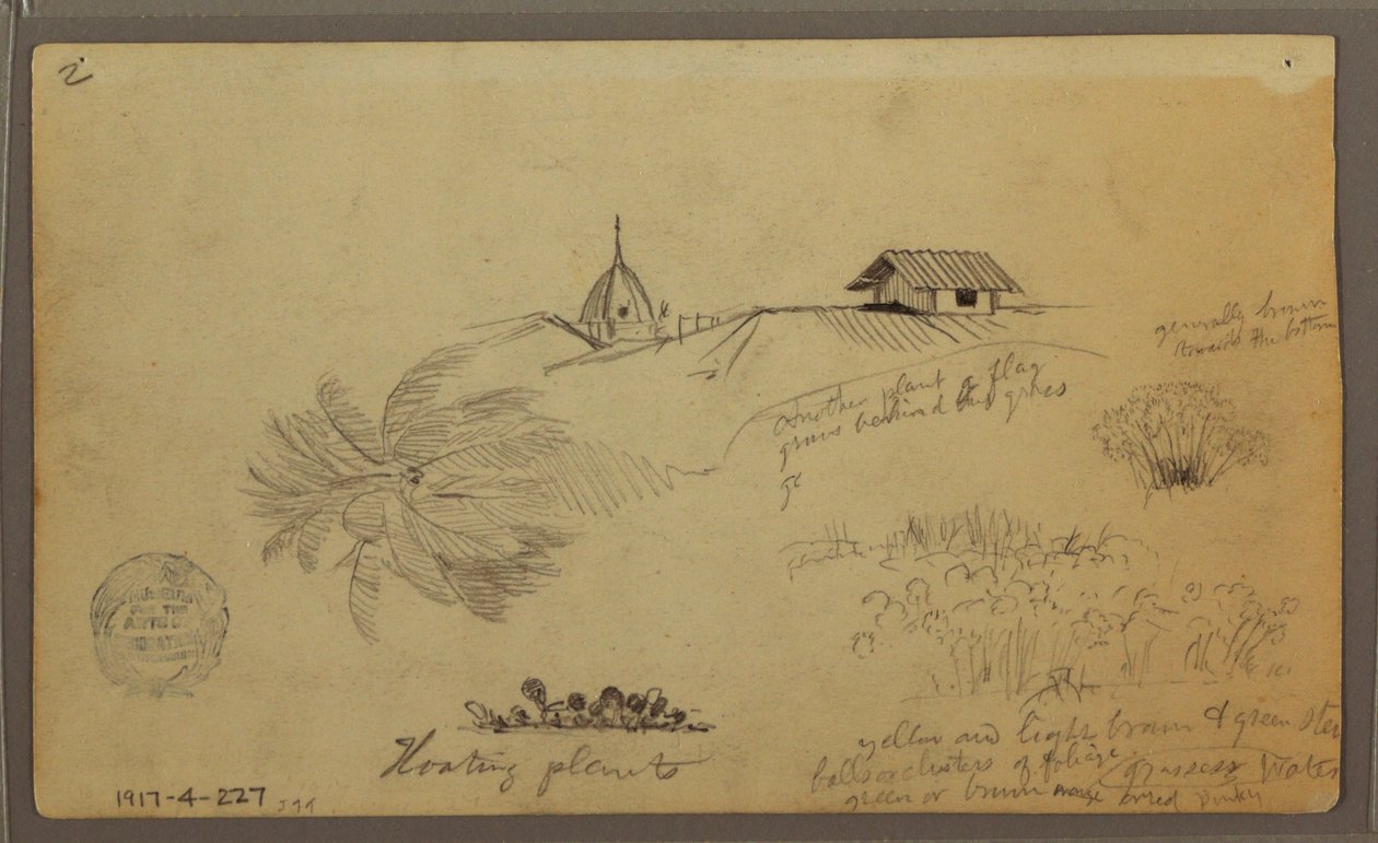 Dibujo, Cielo sobre el mar; Verso: Bocetos botánicos, Tejados, mayo de 1857 de Frederic Edwin Church