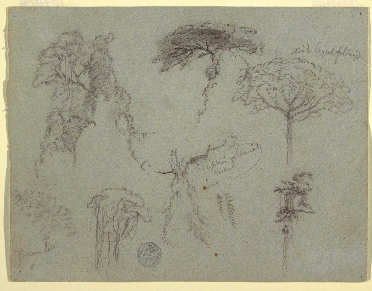 Dibujo, Estudios de árboles, Ecuador, 1853 de Frederic Edwin Church
