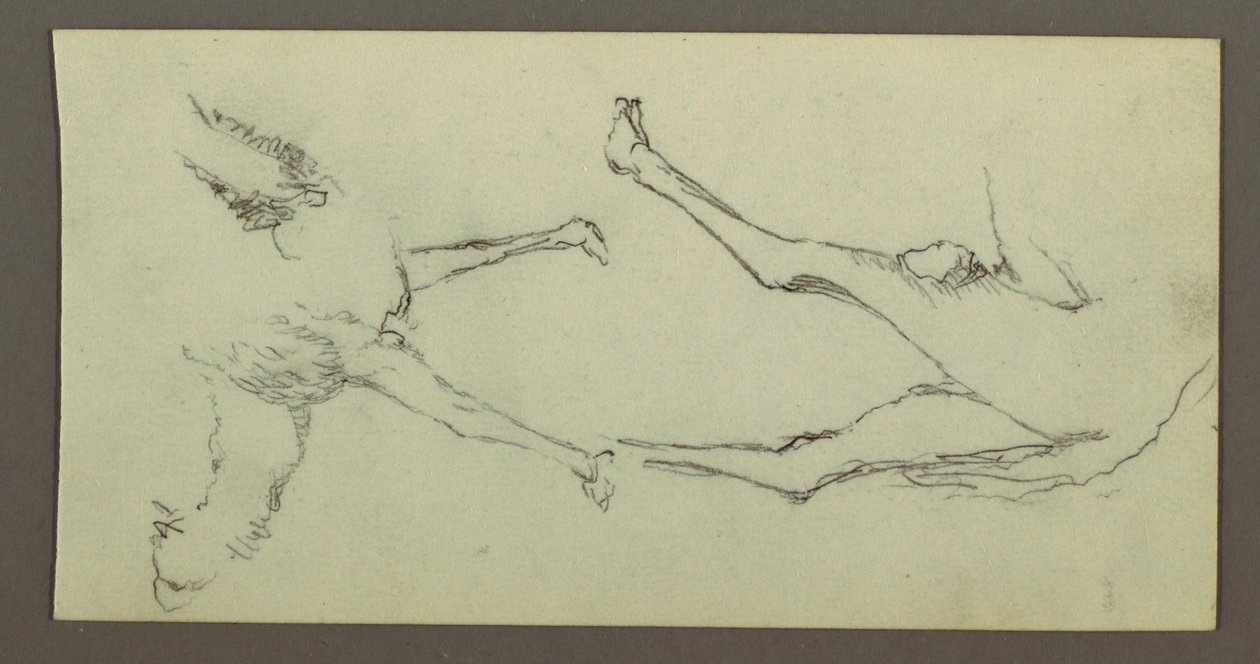 Dibujo, Estudio de patas de camello, posiblemente 1868 de Frederic Edwin Church