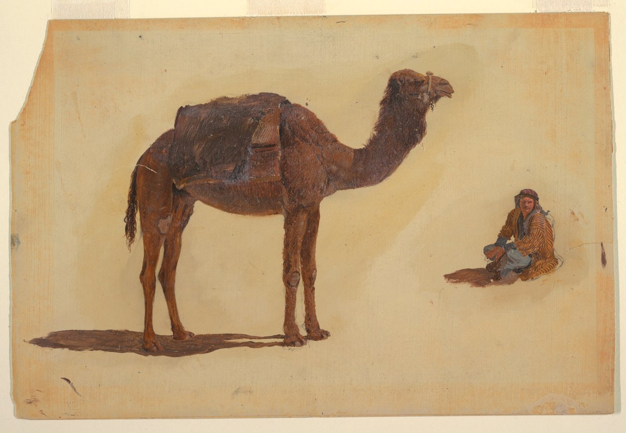 Dibujo, Estudio de un dromedario, 1868 de Frederic Edwin Church