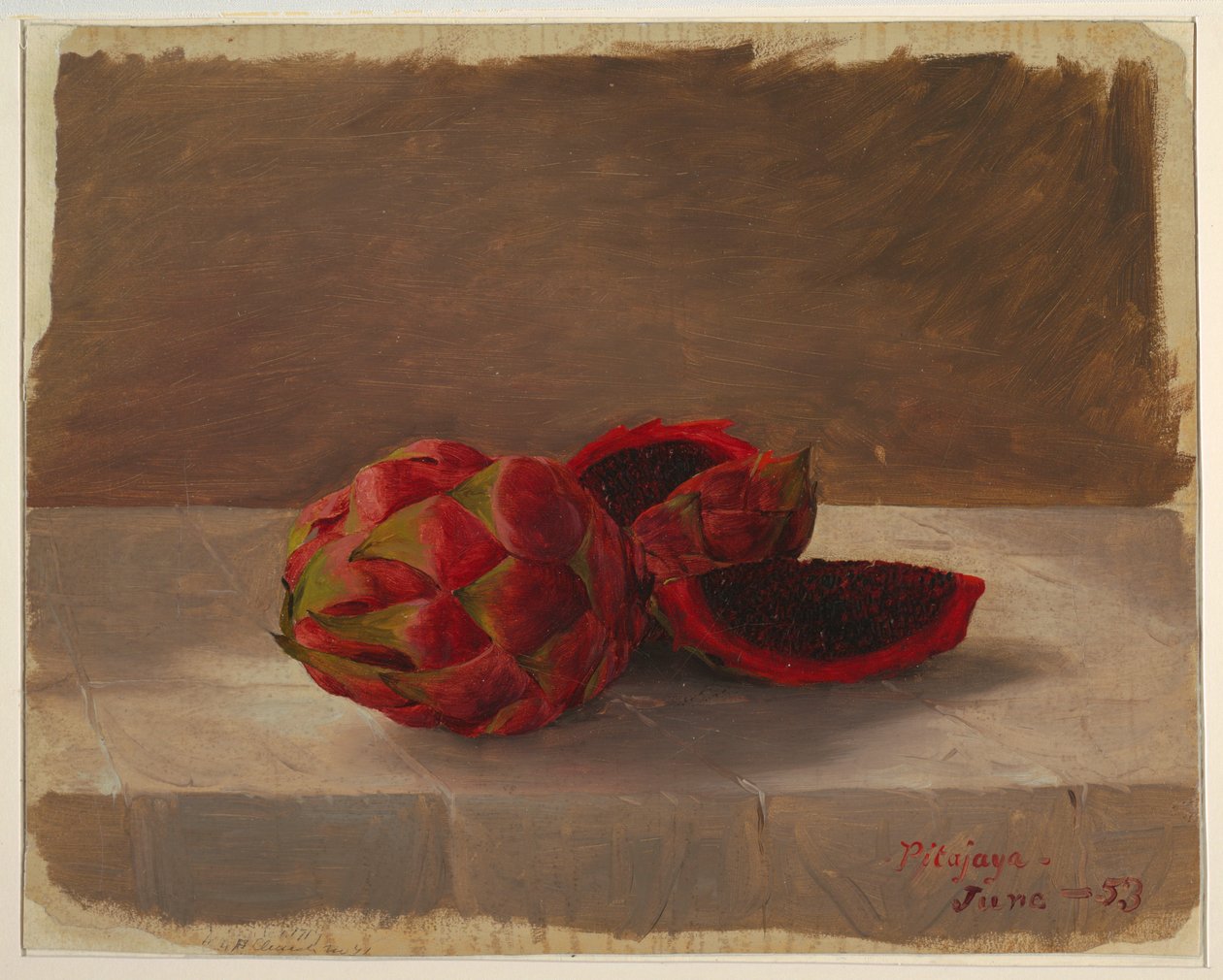 Dibujo, La fruta de Pitajaya, Colombia, junio de 1853 de Frederic Edwin Church