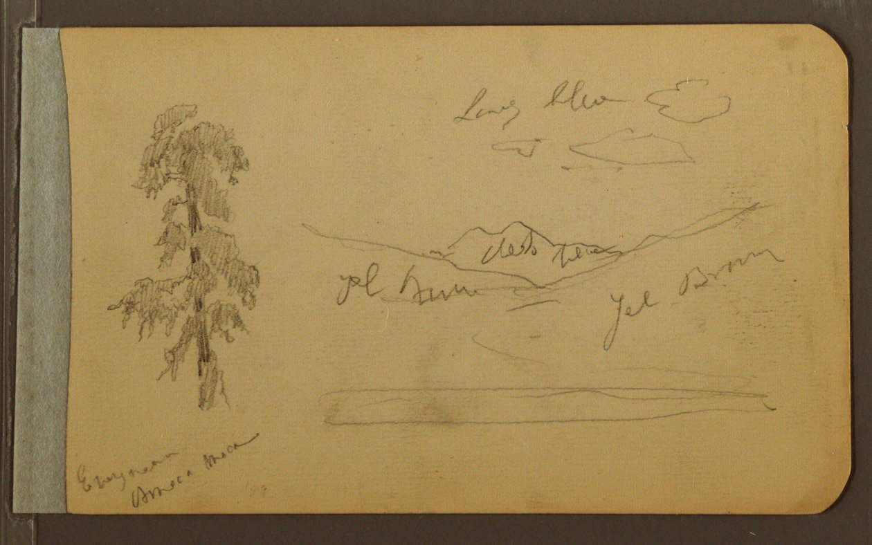 Dibujo, Árbol, montañas, 1889 de Frederic Edwin Church