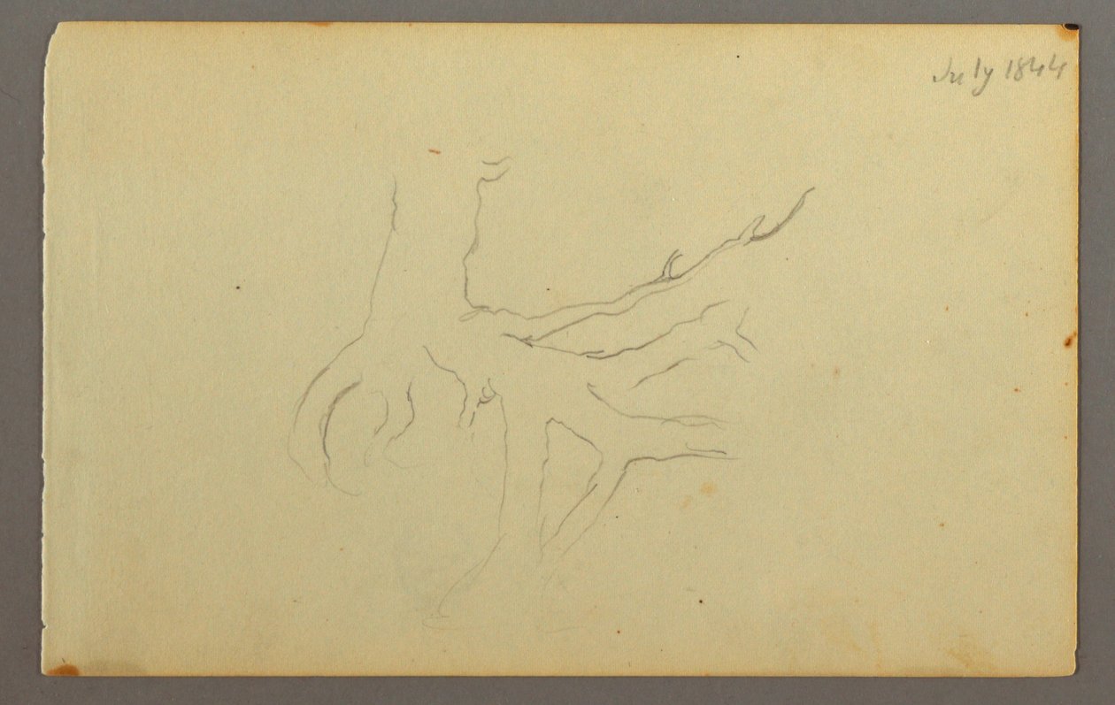 Dibujo, Raíces de árbol, 1844 de Frederic Edwin Church