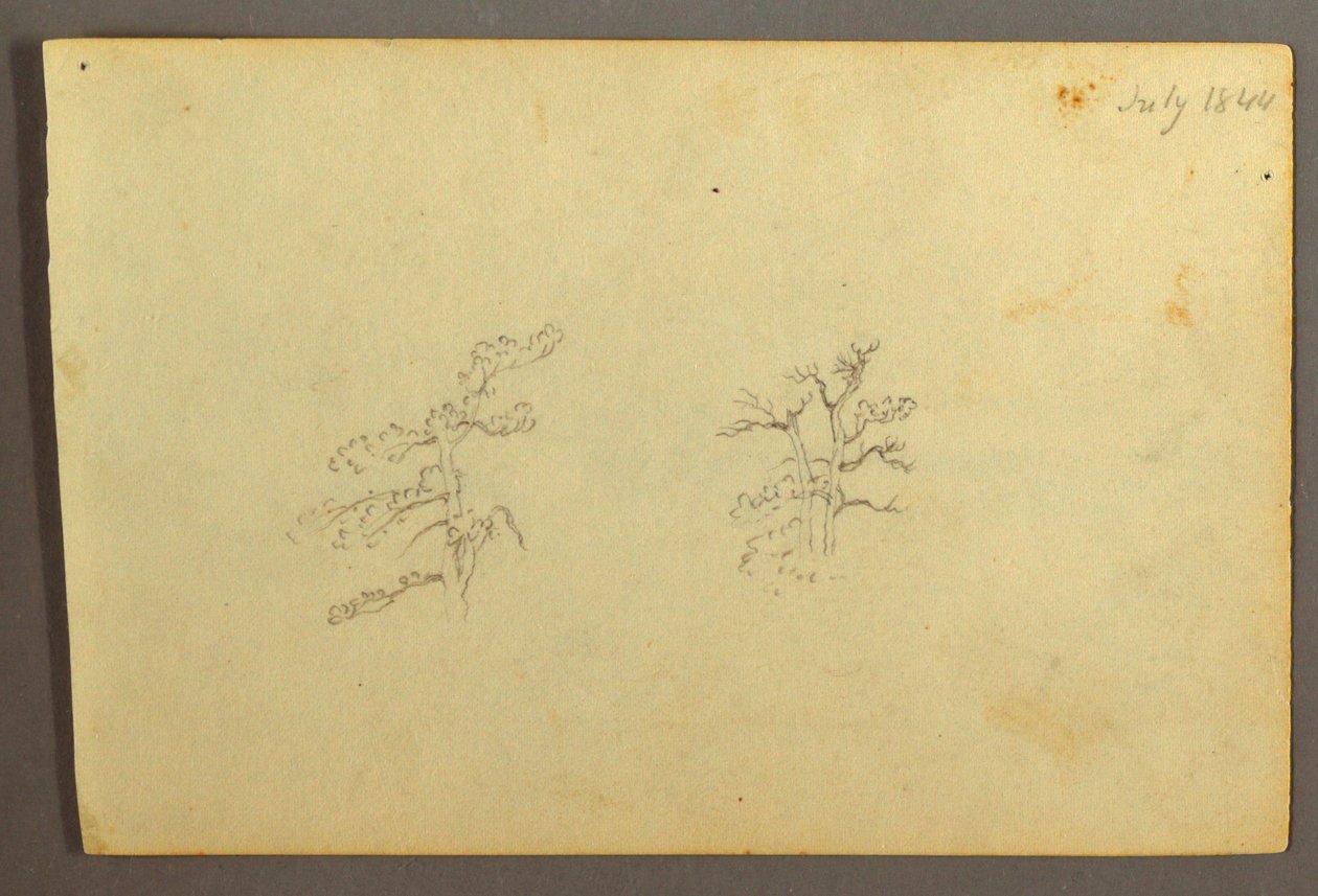 Dibujo, Árboles, julio de 1844 de Frederic Edwin Church