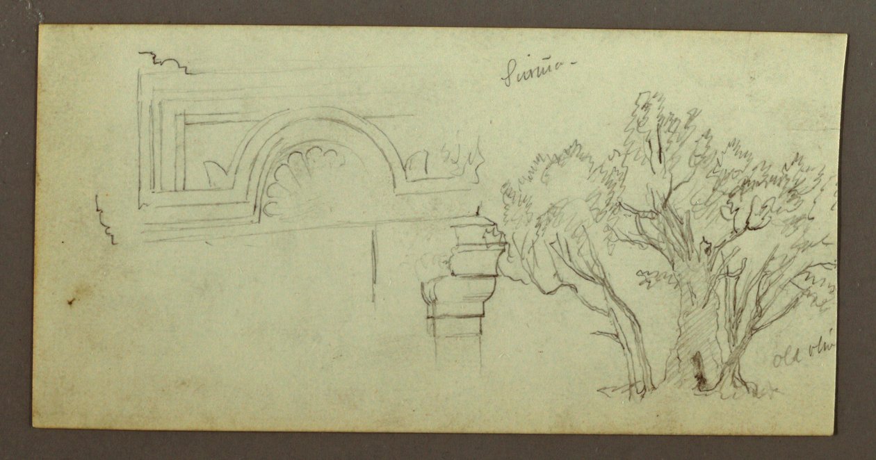 Dibujo, Árboles, Festoneado, Febrero posiblemente 1868 de Frederic Edwin Church