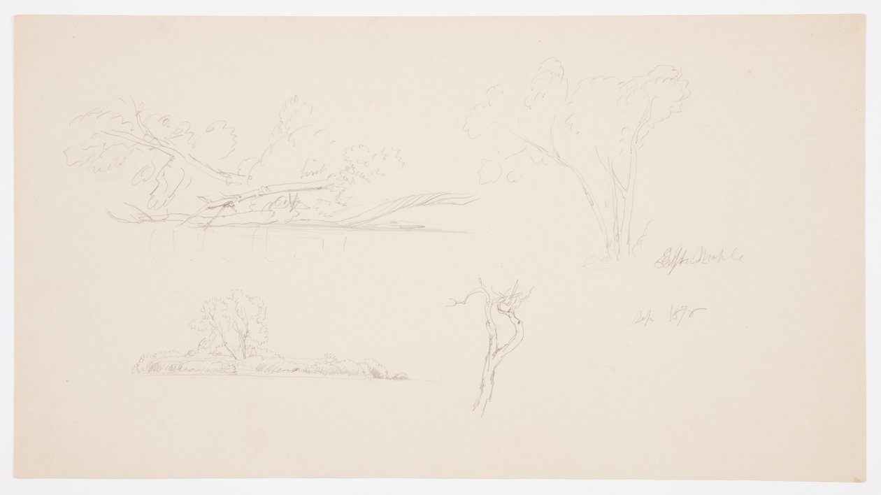 Dibujo, Árboles, una orilla con arbustos y árboles, septiembre de 1876 de Frederic Edwin Church