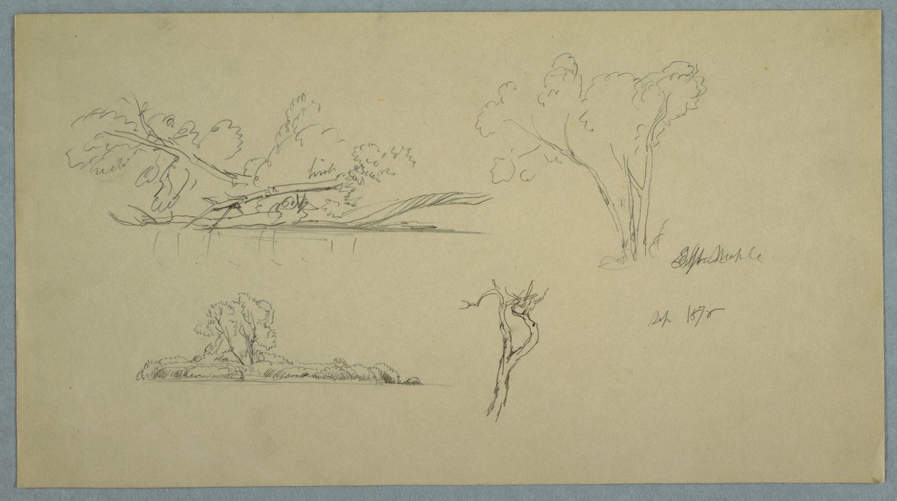 Dibujo, Árboles, una orilla con arbustos y árboles, septiembre de 1876 de Frederic Edwin Church