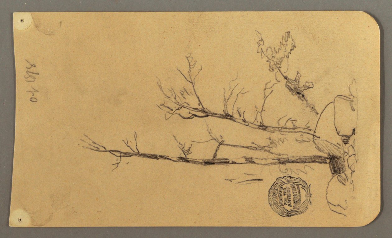 Dibujo, Árboles, cantos rodados, 1878 de Frederic Edwin Church