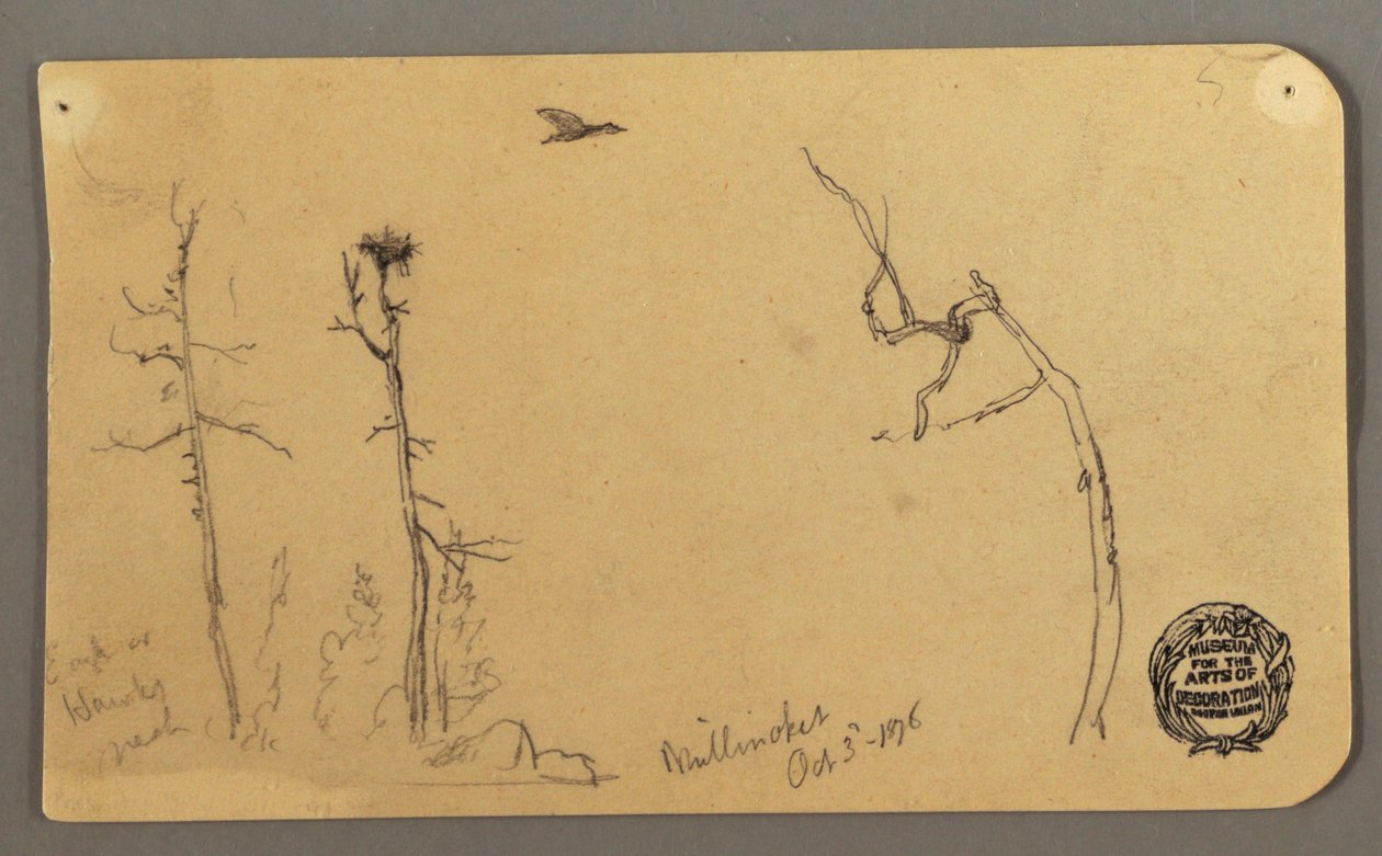 Dibujo, Árboles, pájaro volando, 1877 de Frederic Edwin Church