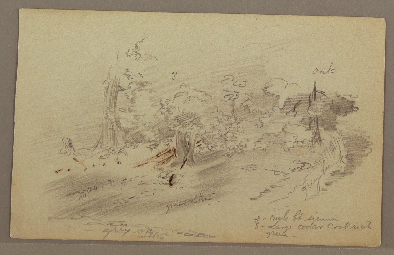 Dibujo, Árboles, posiblemente 1860s de Frederic Edwin Church