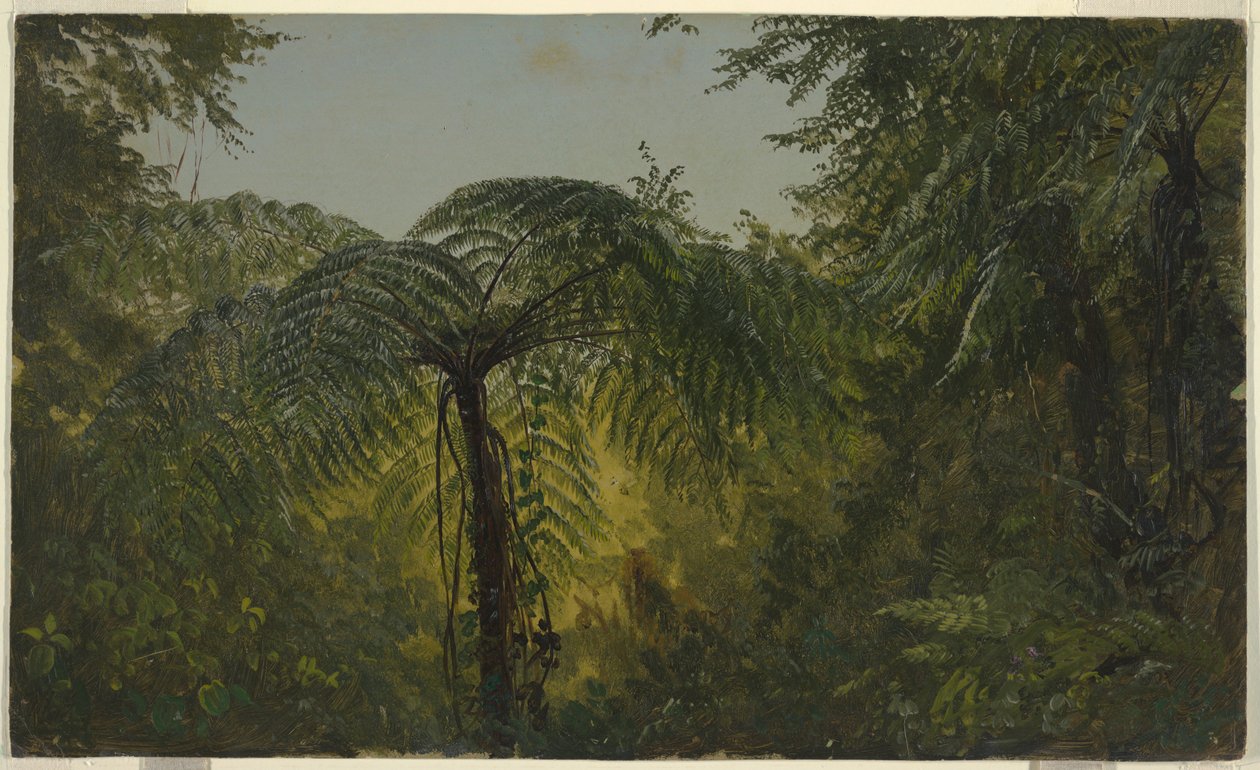 Dibujo, Paisaje tropical, junio o julio de 1865 de Frederic Edwin Church