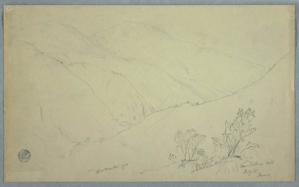 Dibujo, Vista del pico Blue Mountain, visto desde cerca de Salloway Hill, Jamaica, julio de 1865 de Frederic Edwin Church