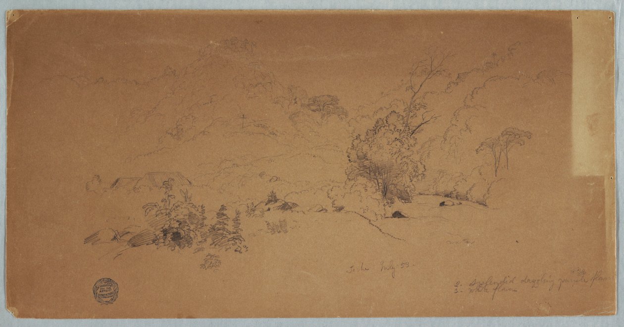 Dibujo, Vista de Toche, Colombia, julio de 1853 de Frederic Edwin Church
