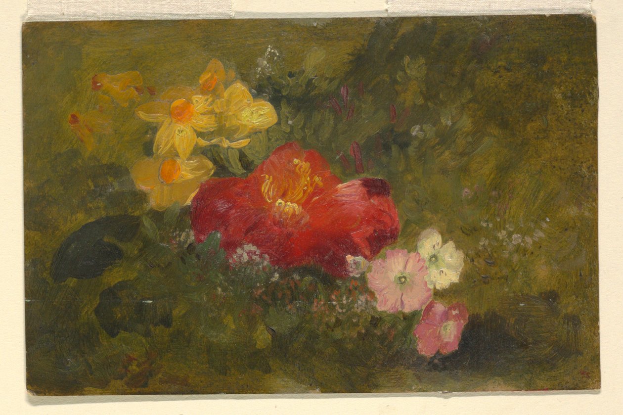 Dibujo, Flores silvestres, Jamaica, 1865 de Frederic Edwin Church