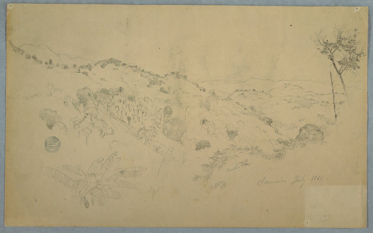 Dibujo, Valle boscoso con un gran helecho y cordilleras lejanas, Jamaica, julio de 1865 de Frederic Edwin Church