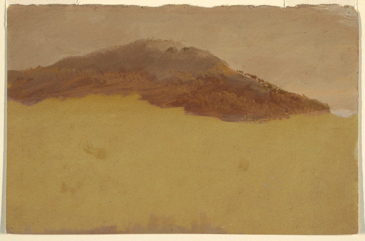Dibujo, Ladera arbolada, 1870-80 de Frederic Edwin Church