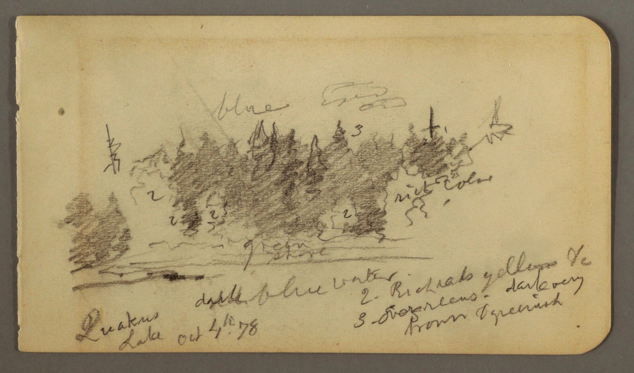 Dibujo, Orilla arbolada, 1878 de Frederic Edwin Church
