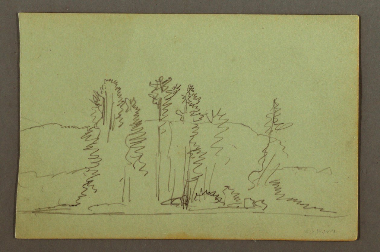 Dibujo, Orilla arbolada de un lago, posiblemente 1856 de Frederic Edwin Church