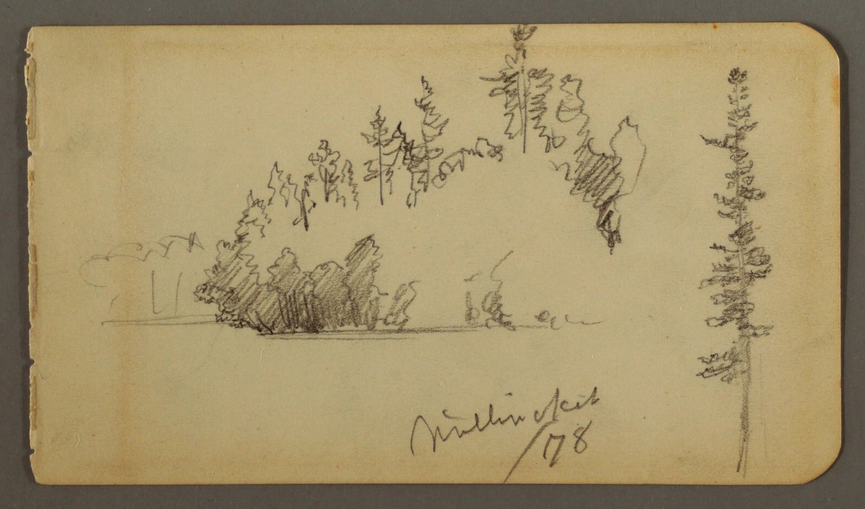 Dibujo, Orilla arbolada, estudio de árboles, 1878 de Frederic Edwin Church